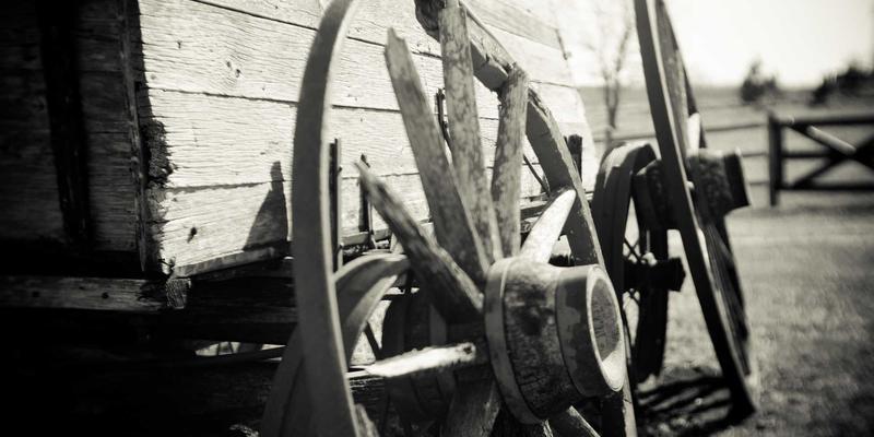 云原生网络（CNI）实战指南：解锁Kubernetes高效网络配置与选型秘籍