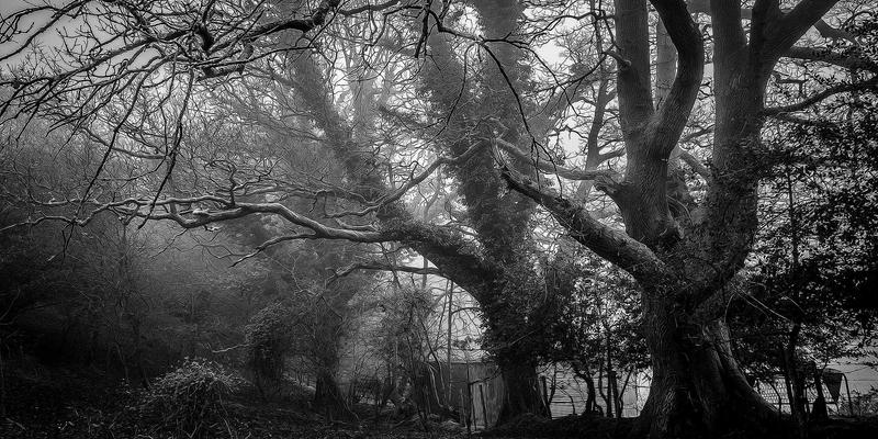 量子密钥分发（QKD）网络：构筑未来网络安全的“不可破译”防线