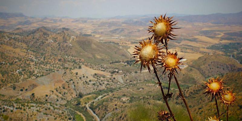 零信任架构实战指南:从网络配置到工具开发,破解实施难题与安全挑战